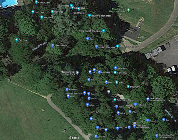 Map of trees in Meadowbrook Park