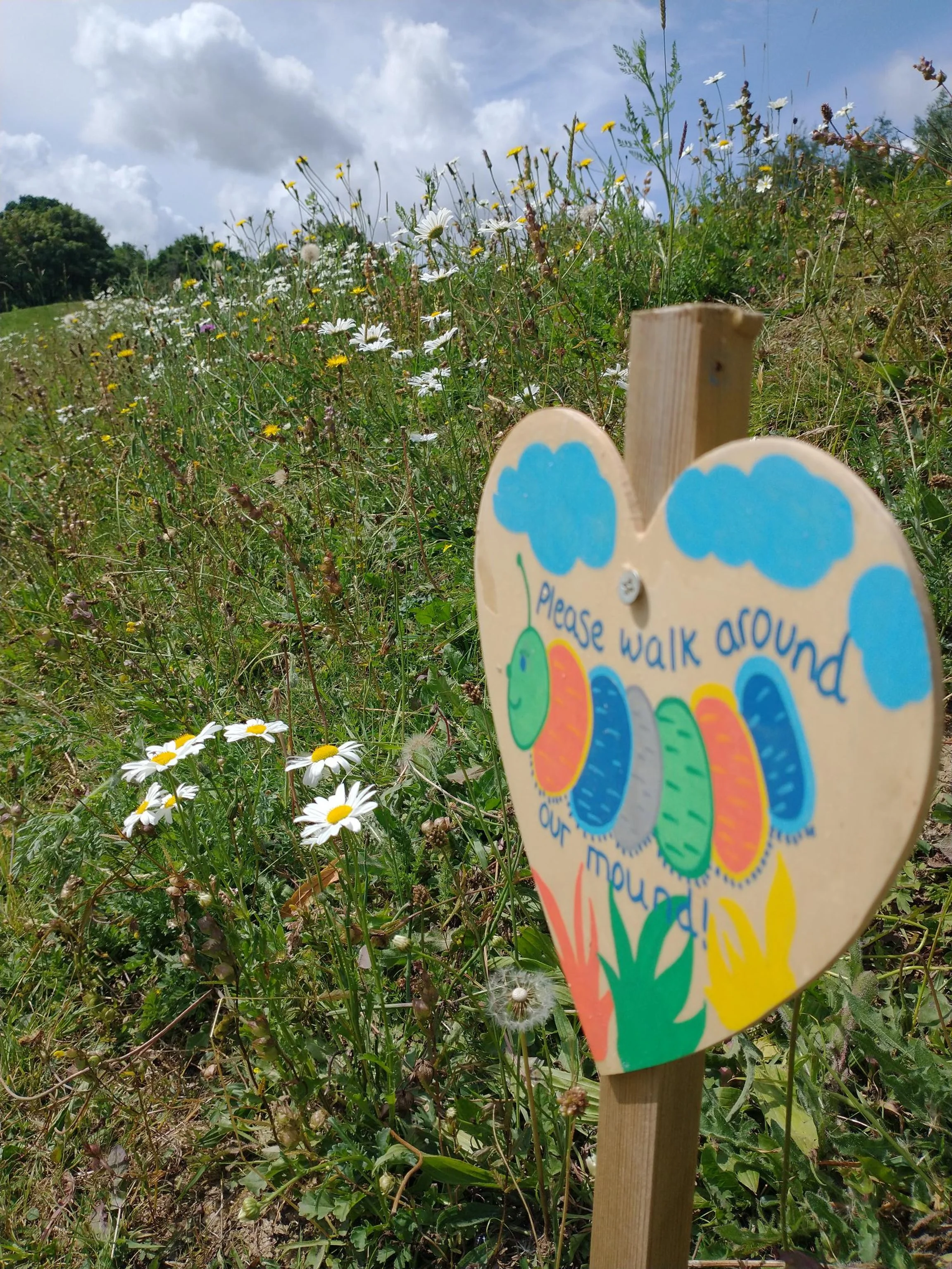 Wildflowers in the park